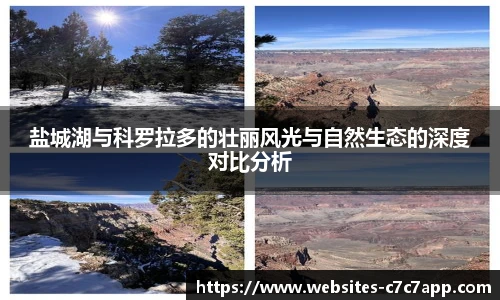 c7娱乐